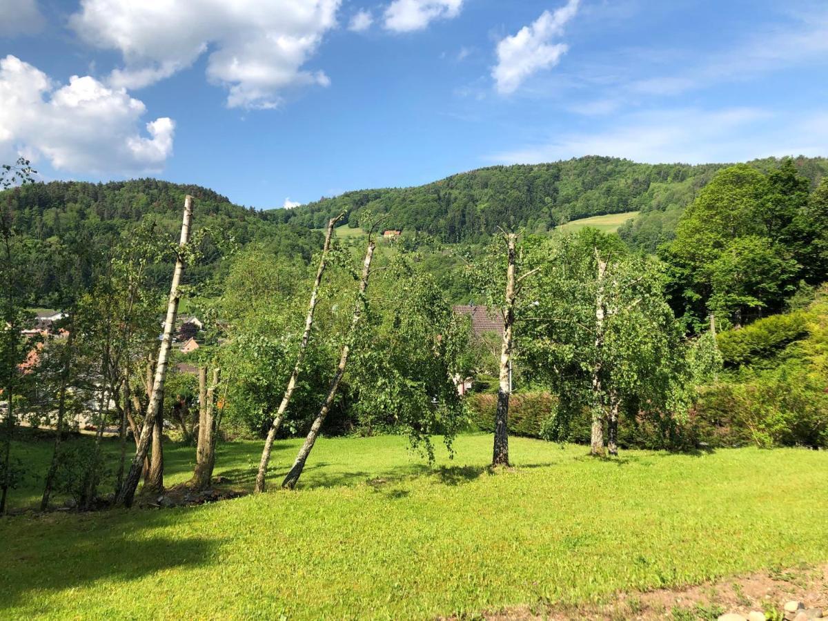Chalet de Fréland Extérieur photo